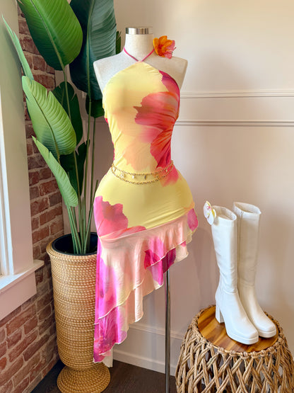 Provenza Bloom Dress