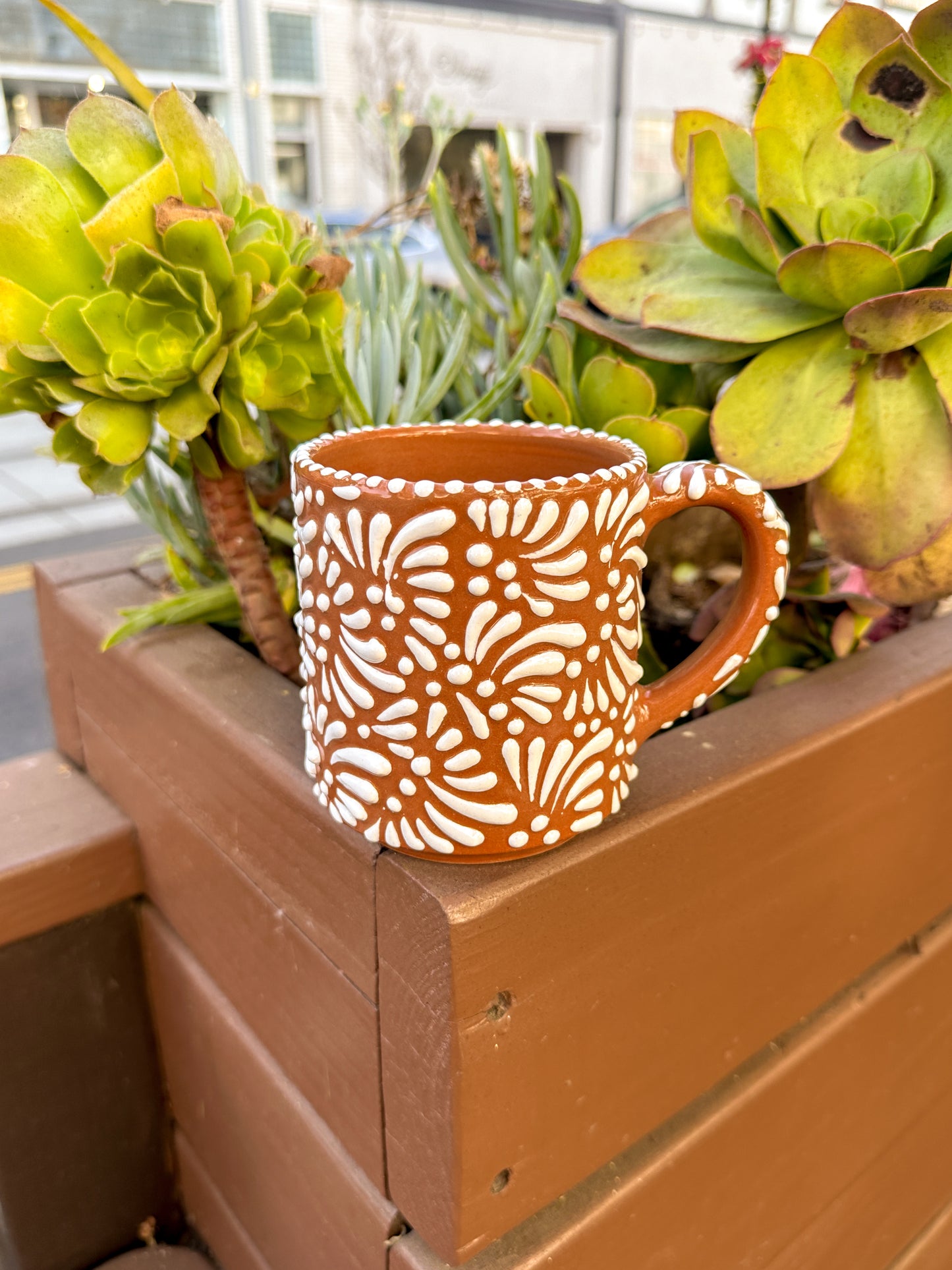 Talavera California Mug (Brown & White)