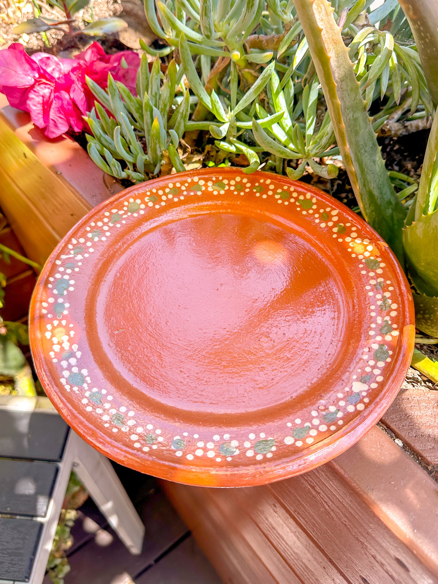 Artisanal Circle Dinner Plate (Brown)